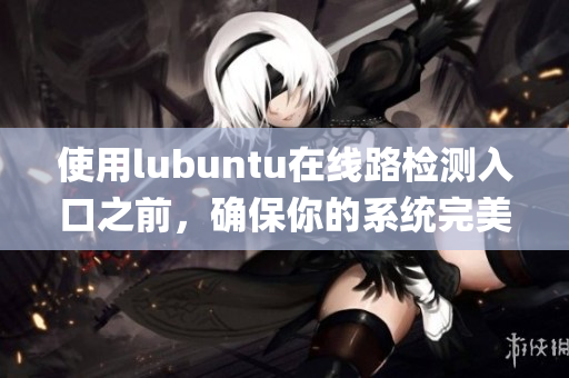 使用lubuntu在线路检测入口之前，确保你的系统完美运行(1)
