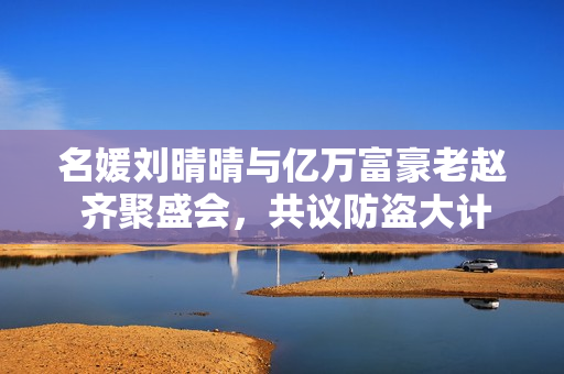 名媛刘晴晴与亿万富豪老赵 齐聚盛会，共议防盗大计