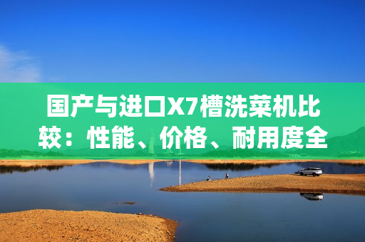 国产与进口X7槽洗菜机比较：性能、价格、耐用度全面对比(1)