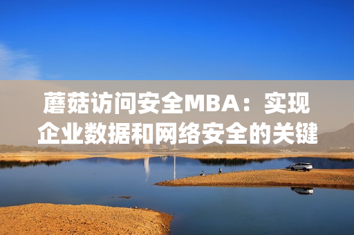 蘑菇访问安全MBA：实现企业数据和网络安全的关键解决方案(1)
