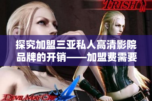 探究加盟三亚私人高清影院品牌的开销——加盟费需要多少？