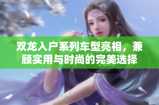 双龙入户系列车型亮相，兼顾实用与时尚的完美选择
