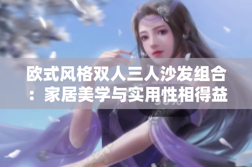 欧式风格双人三人沙发组合：家居美学与实用性相得益彰