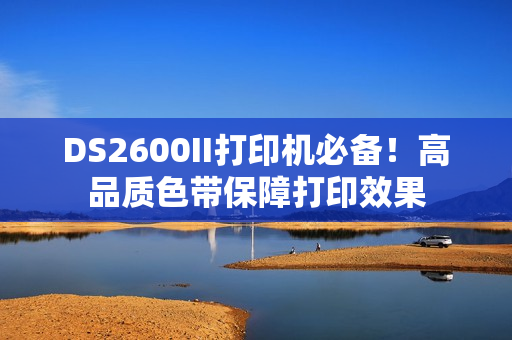 DS2600II打印机必备！高品质色带保障打印效果