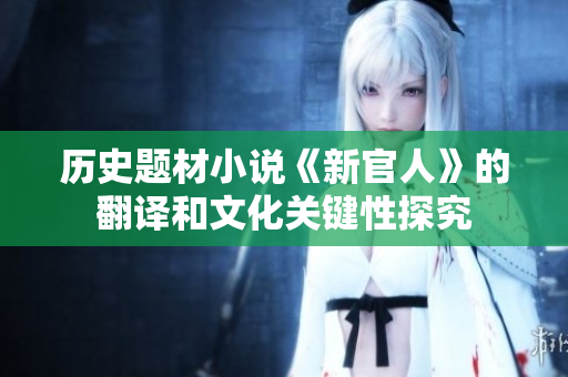 历史题材小说《新官人》的翻译和文化关键性探究