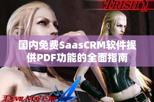 国内免费SaasCRM软件提供PDF功能的全面指南