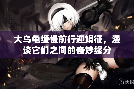 大乌龟缓慢前行迎娟征，漫谈它们之间的奇妙缘分