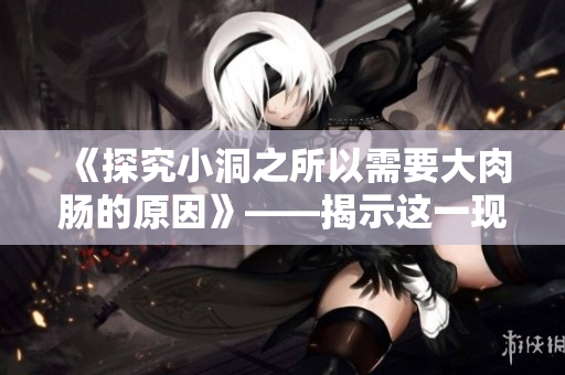 《探究小洞之所以需要大肉肠的原因》——揭示这一现象的内在逻辑与实际意义