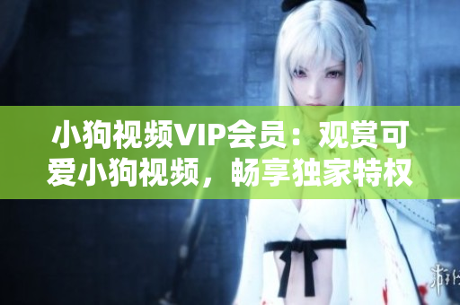 小狗视频VIP会员：观赏可爱小狗视频，畅享独家特权