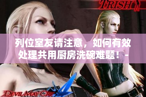 列位室友请注意，如何有效处理共用厨房洗碗难题！--一个编辑的实用建议