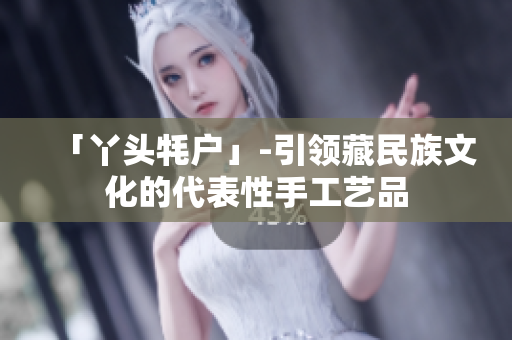 「丫头牦户」-引领藏民族文化的代表性手工艺品