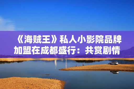 《海贼王》私人小影院品牌加盟在成都盛行：共赏剧情，共享影院，共创火爆！