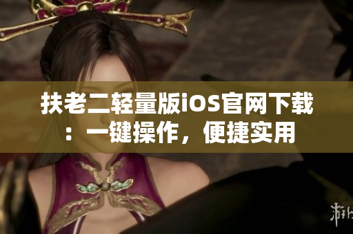 扶老二轻量版iOS官网下载：一键操作，便捷实用
