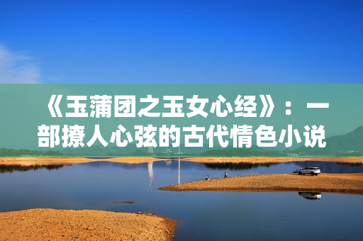 《玉蒲团之玉女心经》：一部撩人心弦的古代情色小说