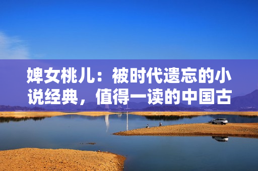 婢女桃儿：被时代遗忘的小说经典，值得一读的中国古代历史小说