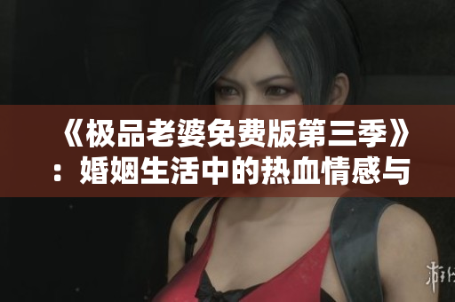 《极品老婆免费版第三季》：婚姻生活中的热血情感与挑战