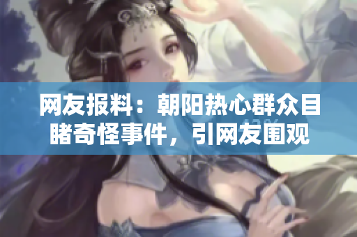 网友报料：朝阳热心群众目睹奇怪事件，引网友围观
