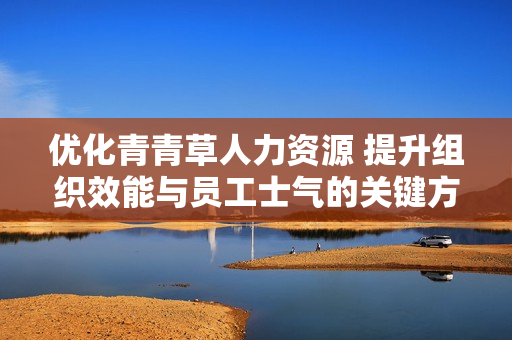 优化青青草人力资源 提升组织效能与员工士气的关键方法