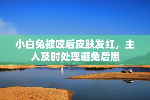 小白兔被咬后皮肤发红，主人及时处理避免后患