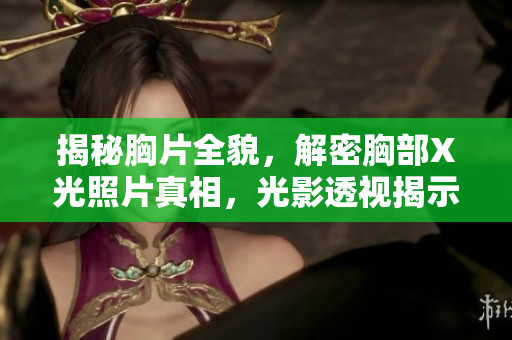 揭秘胸片全貌，解密胸部X光照片真相，光影透视揭示身体健康