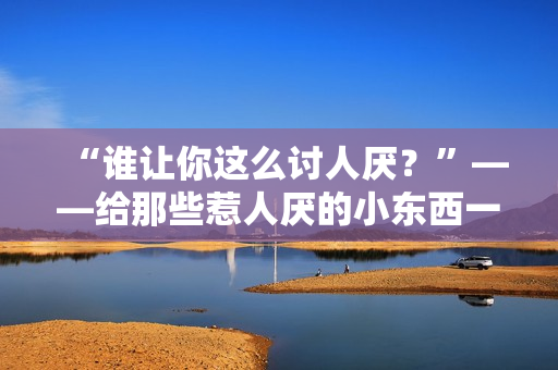 “谁让你这么讨人厌？”——给那些惹人厌的小东西一点教训！