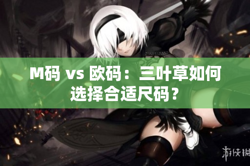 M码 vs 欧码：三叶草如何选择合适尺码？