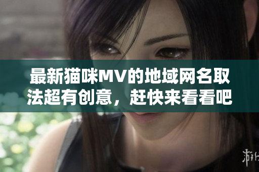 最新猫咪MV的地域网名取法超有创意，赶快来看看吧！