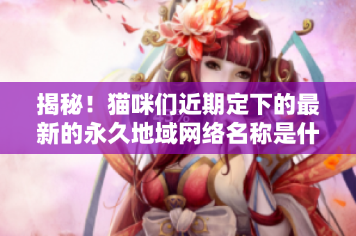 揭秘！猫咪们近期定下的最新的永久地域网络名称是什么？