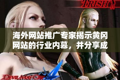 海外网站推广专家揭示黄冈网站的行业内幕，并分享成功经验