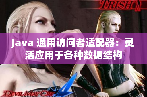 Java 通用访问者适配器：灵活应用于各种数据结构