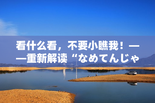 看什么看，不要小瞧我！——重新解读“なめてんじゃねーぞおら”