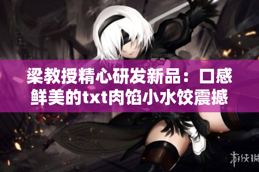 梁教授精心研发新品：口感鲜美的txt肉馅小水饺震撼登场