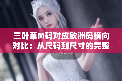 三叶草M码对应欧洲码横向对比：从尺码到尺寸的完整指南