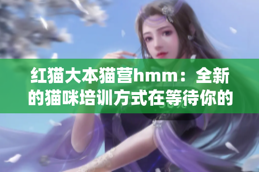 红猫大本猫营hmm：全新的猫咪培训方式在等待你的探索(1)