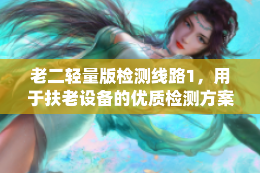 老二轻量版检测线路1，用于扶老设备的优质检测方案(1)