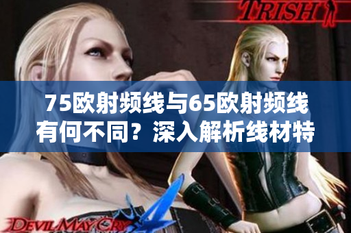 75欧射频线与65欧射频线有何不同？深入解析线材特性的比较