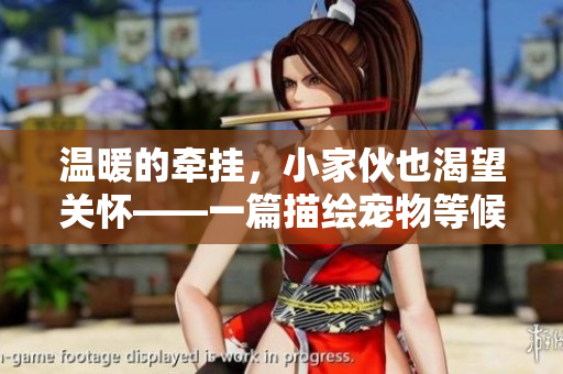 温暖的牵挂，小家伙也渴望关怀——一篇描绘宠物等候主人的动人文章