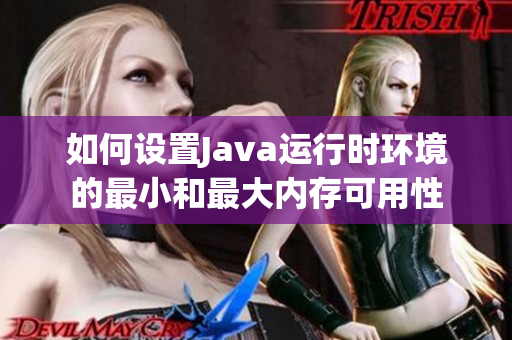 如何设置Java运行时环境的最小和最大内存可用性