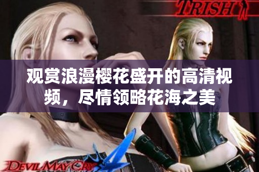 观赏浪漫樱花盛开的高清视频，尽情领略花海之美