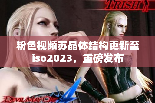 粉色视频苏晶体结构更新至iso2023，重磅发布
