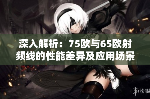 深入解析：75欧与65欧射频线的性能差异及应用场景区别