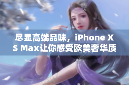 尽显高端品味，iPhone XS Max让你感受欧美奢华质感