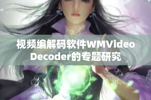 视频编解码软件WMVideoDecoder的专题研究