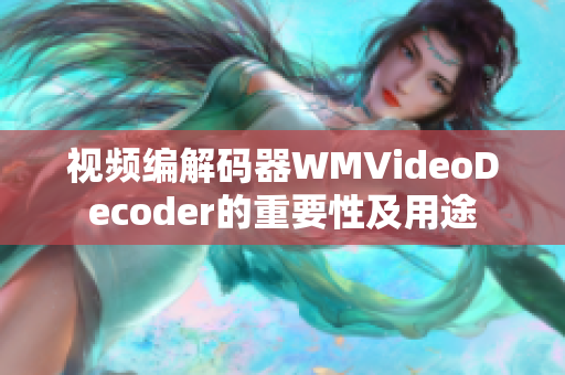 视频编解码器WMVideoDecoder的重要性及用途