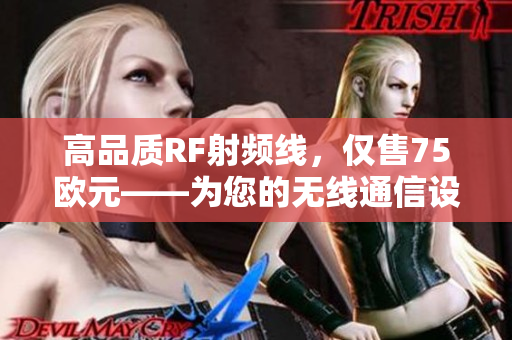高品质RF射频线，仅售75欧元——为您的无线通信设备提供可靠保障