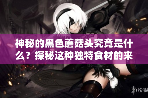 神秘的黑色蘑菇头究竟是什么？探秘这种独特食材的来历和用途