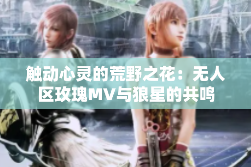 触动心灵的荒野之花：无人区玫瑰MV与狼星的共鸣