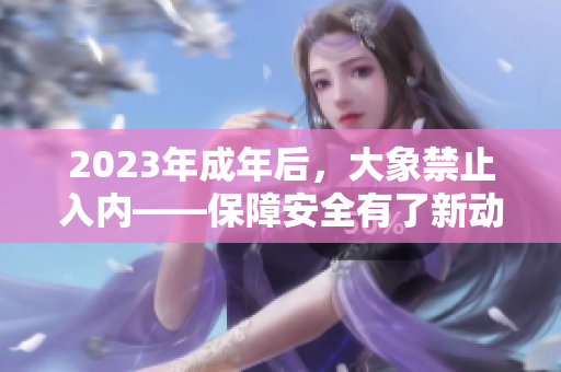 2023年成年后，大象禁止入内——保障安全有了新动向