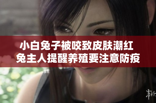 小白兔子被咬致皮肤潮红 兔主人提醒养殖要注意防疫