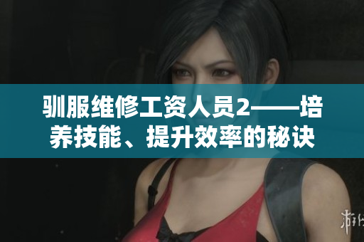 驯服维修工资人员2——培养技能、提升效率的秘诀
